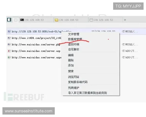 如何通过U体育官方入口安全登录，保障个人信息与账户安全的实用技巧